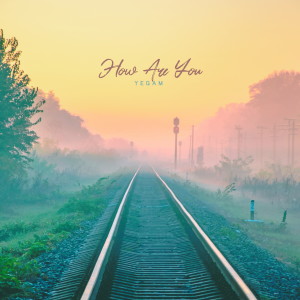 Album How Are You from Yegam