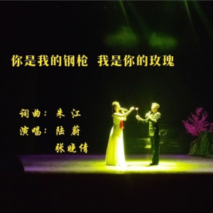朱江的专辑你是我的钢枪我是你的玫瑰