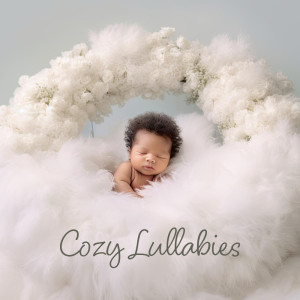 Blend in Bed Sleep Academy的专辑Cozy Lullabies (Snug Baby Songs, Peaceful Night for Newborns)