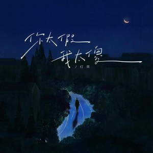 Album 你太假我太傻（你只是轻轻爱了我一下） from 灯叔