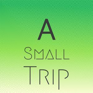 Album A Small Trip oleh Silvia Natiello-Spiller