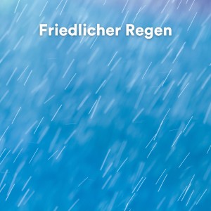 Regengeräusche的專輯Friedlicher Regen (Entspannender Regen zum Schlafen)