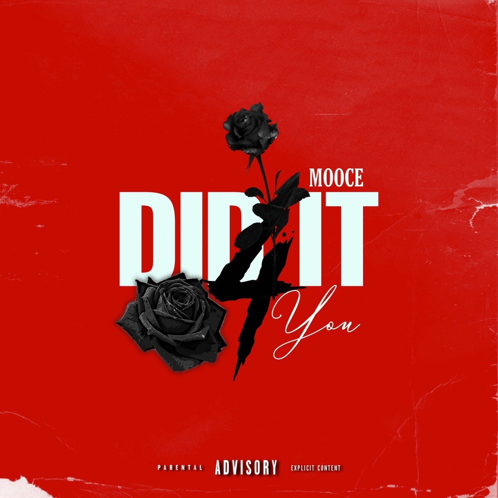 Did It 4 You (Explicit)
