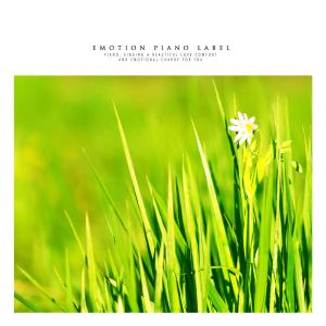 Listen to Concentrate with friends song with lyrics from Ji Seungyun