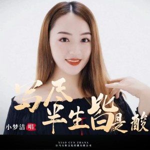 收听小梦洁的写尽半生皆是酸（DJ小梦洁版） (完整版)歌词歌曲