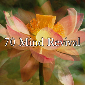 收听Zen Meditation and Natural White Noise and New Age Deep Massage的Love Yourself歌词歌曲