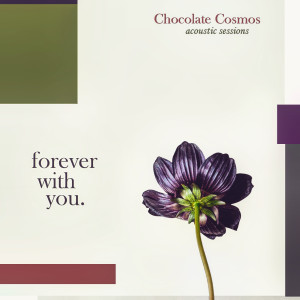Dengarkan lagu Forever with You (Acoustic Sessions) nyanyian Chocolate Cosmos dengan lirik