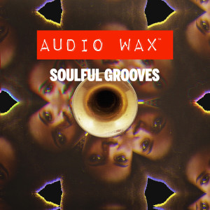The Sonic Hijackers的專輯Soulful Grooves