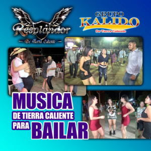 Album Musica De Tierra Caliente Para Bailar (Grupero) from Grupo Kalido De Tierra Caliente