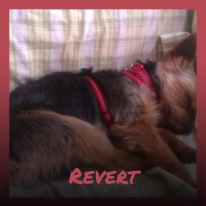 ดาวน์โหลดและฟังเพลง Revert พร้อมเนื้อเพลงจาก Hery Bman