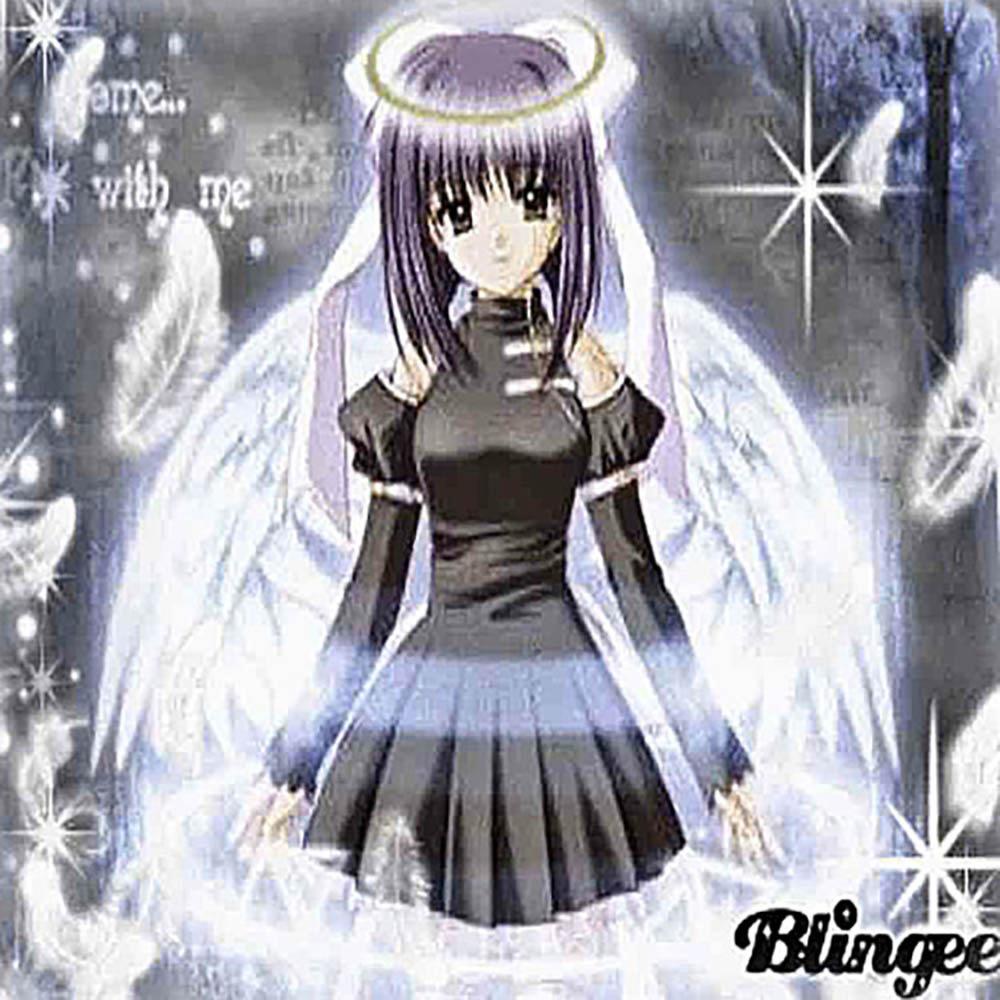 halos (Explicit)