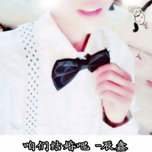 Listen to 咱们结婚吧 song with lyrics from 辰鑫