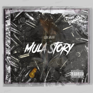 收聽EBK Mula的Mula Story (Explicit)歌詞歌曲