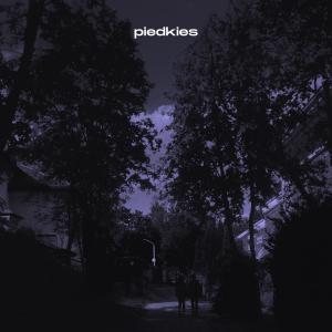 收聽Piedkies的enjoy your last fairy dreams in your life歌詞歌曲