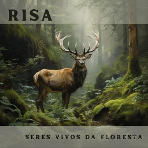 Risa的專輯Seres Vivos da Floresta