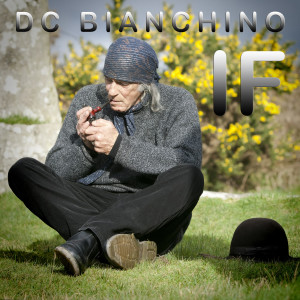 收聽DC Bianchino的If - A Live Performance at the Tantra歌詞歌曲
