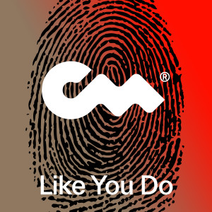 Album Like You Do from 