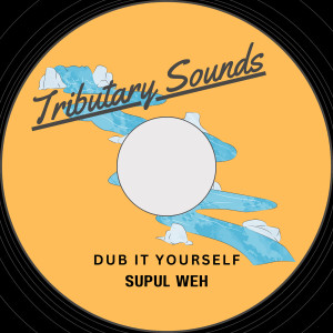 Listen to Dub It Yourself song with lyrics from Tributary Sounds