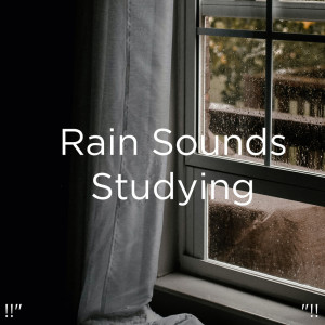 Listen to Rain Sound song with lyrics from Meditation Rain Sounds