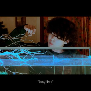 Listen to 정화 (JungHwa) song with lyrics from views in i (뷰즈인아이)