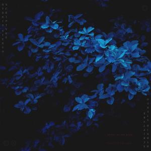ดาวน์โหลดและฟังเพลง Scent In The Dark (feat. Hybrid Stereo) (Explicit) พร้อมเนื้อเพลงจาก Scriptvre