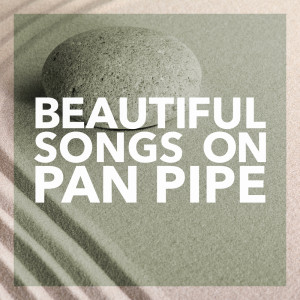 ดาวน์โหลดและฟังเพลง Dragon Dance (Instrumental) พร้อมเนื้อเพลงจาก The Panned Pipers