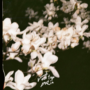 อัลบัม puzzle ศิลปิน rooftop patio