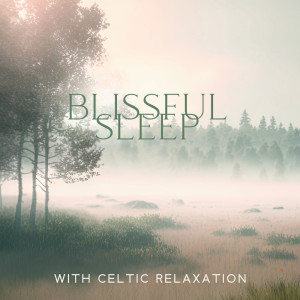 Album Blissful Sleep with Celtic Relaxation and Melancholic Atmosphere (Rain Mist) from Relaxing Music Master