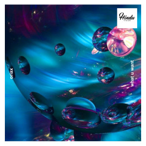 Listen to What U Want (Radio Edit) song with lyrics from Oriax