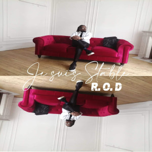 Album Je Suis Stable  from R.O.D