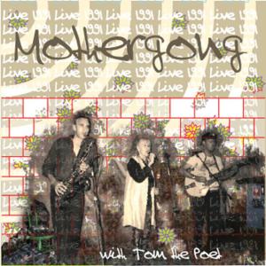 ดาวน์โหลดและฟังเพลง We Who Where Raging พร้อมเนื้อเพลงจาก Mothergong