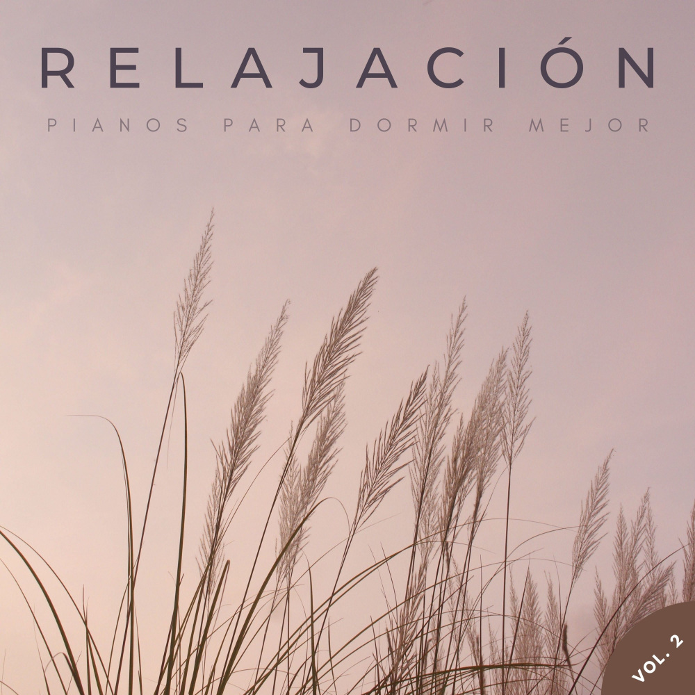 Música De Acordeón Y Piano