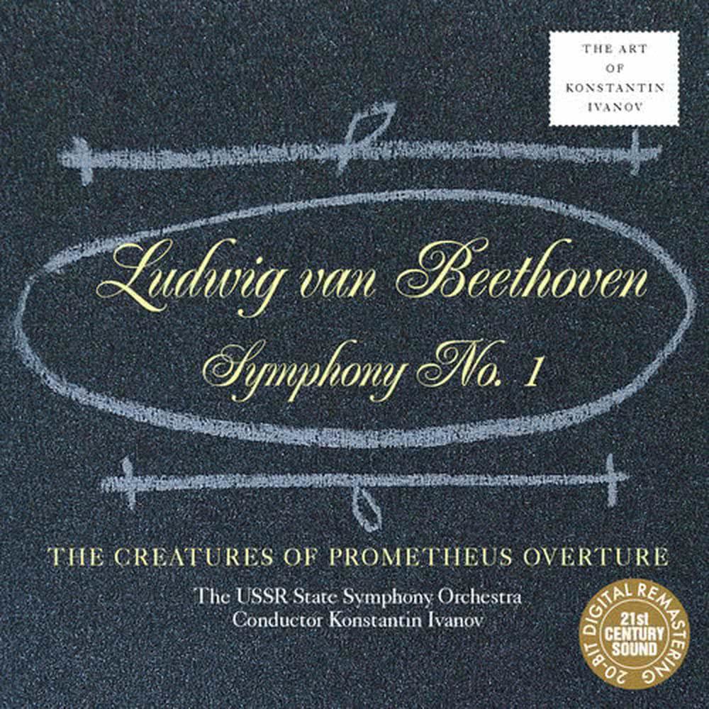 Symphony No. 1 in C Major, Op. 21: IV. Adagio. Allegro milto vivace