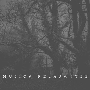Album Relajantes from maximum tone