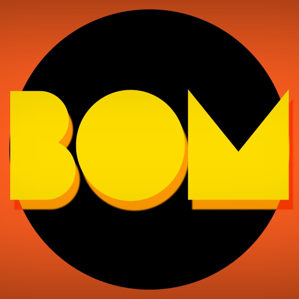 Se Eu Tivesse a Coragem, Ia Ser Bom (Tik Tok)