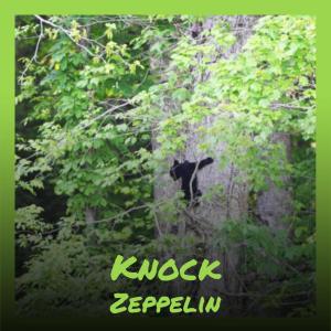 Listen to Knock Zeppelin song with lyrics from Brane Aunt