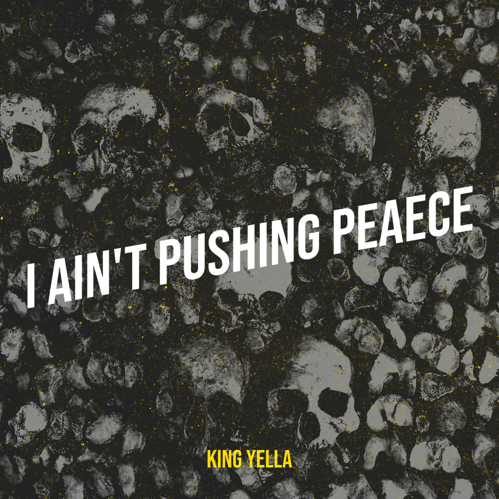 I Ain't Pushing Peaece (Explicit)