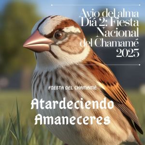 Atardeciendo Amaneceres的專輯Atardeciendo Amaneceres en Avio del Alma, Dia 2: Fiesta Nacional del Chamamé 2025 (En Vivo)