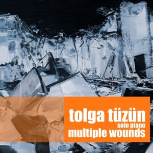 收聽Tolga Tüzün的Utopias and Non Rational Times歌詞歌曲