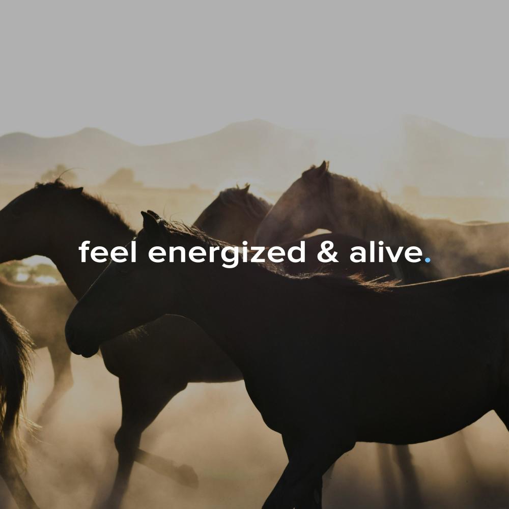 feel energized & alive. (vibey) (feat. ryan james)