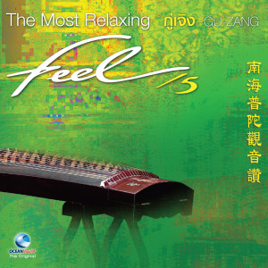YANG PEI - XIUN的專輯Feel, Vol. 5 (The Most Relaxing "Gu - Zang")