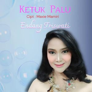 Endang Triswati的专辑Ketuk Palu