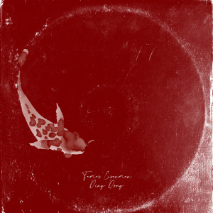 ดาวน์โหลดและฟังเพลง Ding Dong พร้อมเนื้อเพลงจาก Tamar Eisenman