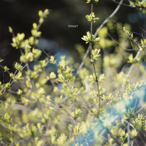 Listen to Joy Spring song with lyrics from Evo