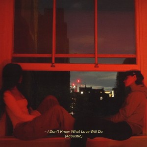 อัลบัม I Don't Know What Love Will Do (Acoustic) ศิลปิน Sarah Proctor