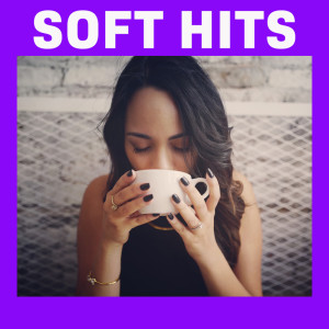 อัลบัม Soft Hits (Explicit) ศิลปิน Various