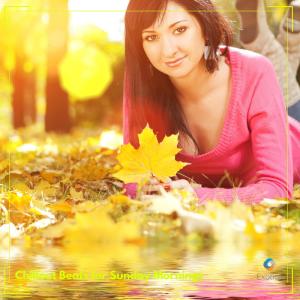 Listen to Motion Wave Cafe song with lyrics from Robin Ivan