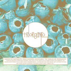 ดาวน์โหลดและฟังเพลง Cosita One พร้อมเนื้อเพลงจาก Triorganico