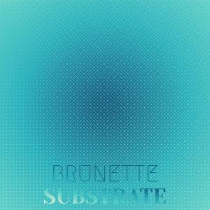 Various Artists的專輯Brunette Substrate