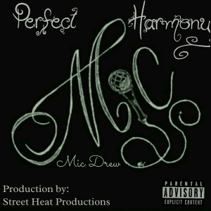 ดาวน์โหลดและฟังเพลง Perfect Harmony พร้อมเนื้อเพลงจาก Mic Drew